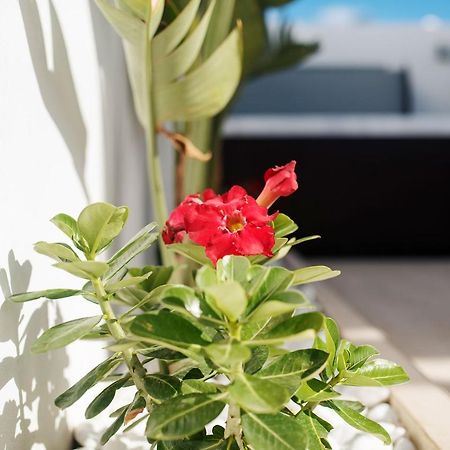 Villa Palmera Jacuzzi Yaiza  Exterior photo